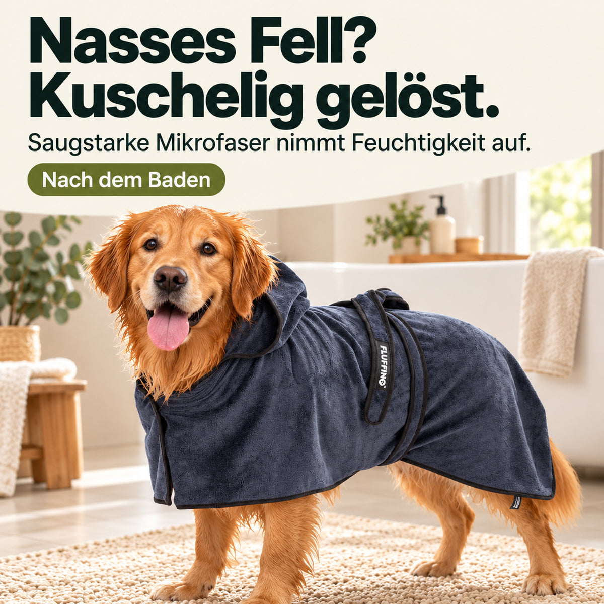 Hundebademantel - Größe M - beige/blau an einem Hund nach dem Baden