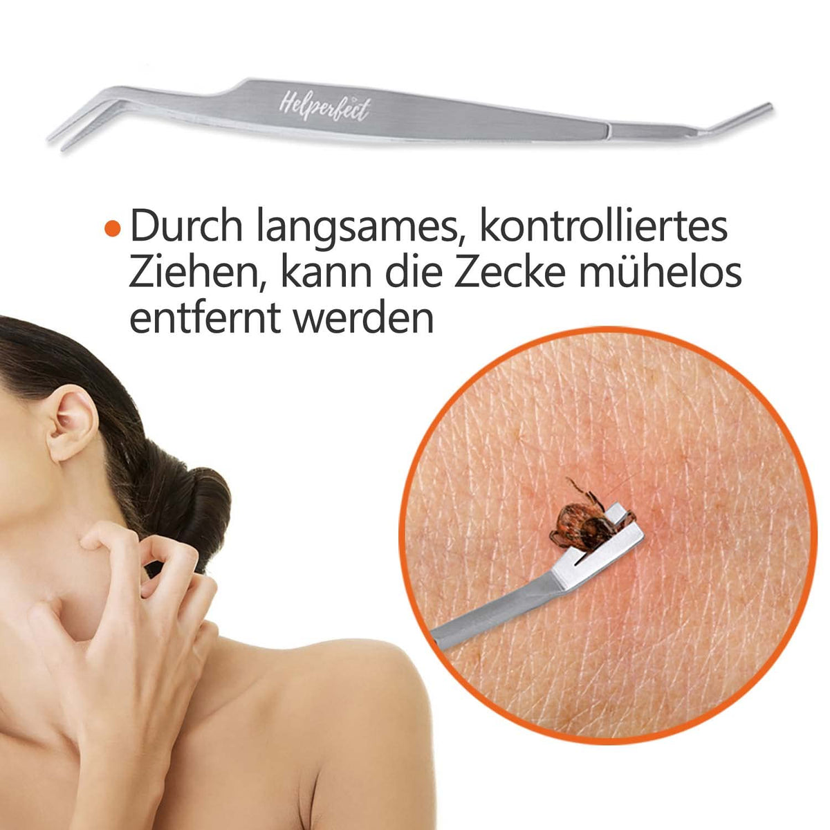 2-in-1 Profi Zeckenzange - für Hunde und Katzen - Silber zur präzisen und einfachen Entfernung von Zecken bei Mensch und Tier.