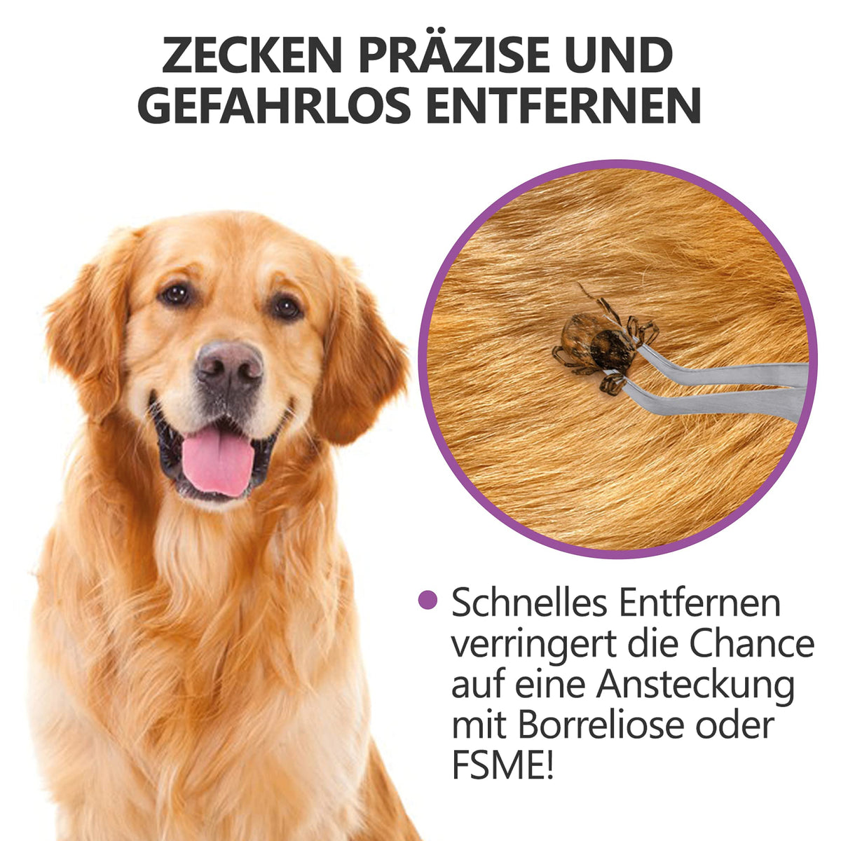 2-in-1 Profi Zeckenzange - für Hunde und Katzen - Violett zur sicheren und schnellen Entfernung von Zecken bei Haustieren.