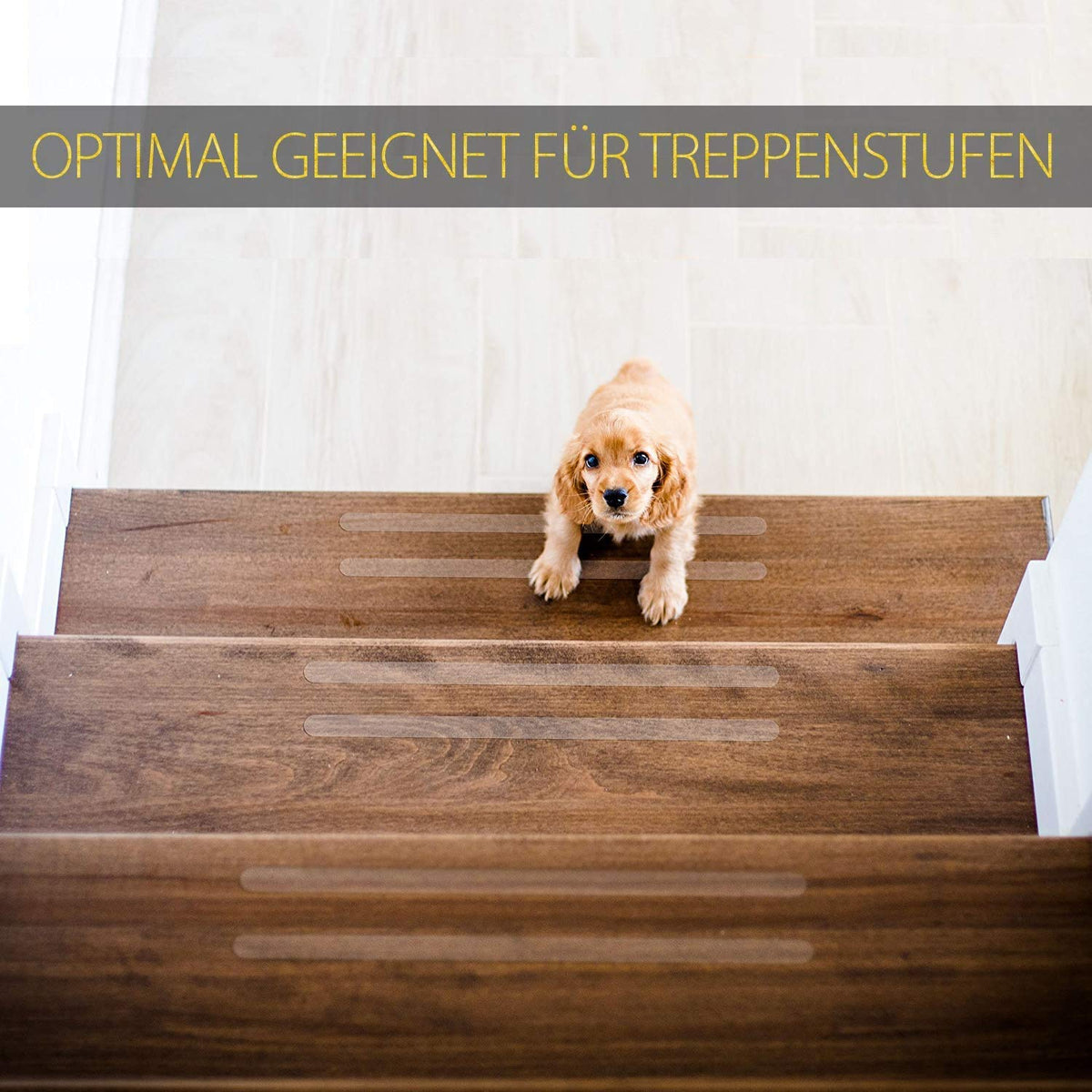 Anti Rutsch Streifen - 20 Stück auf Holztreppe für sicheren Halt mit Hund
