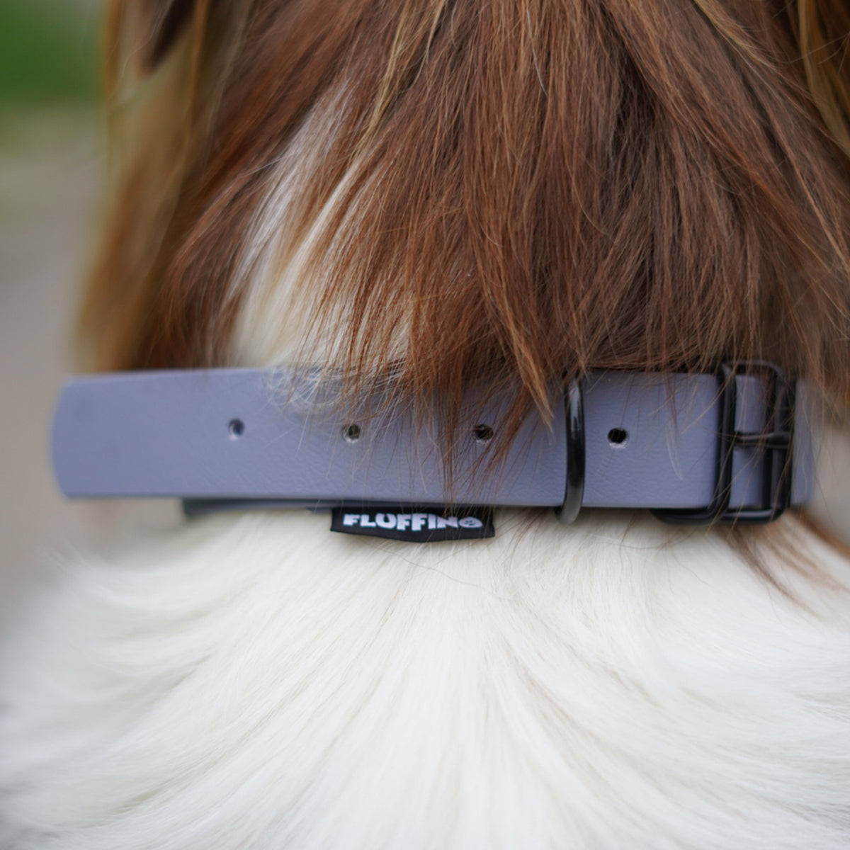 Hundehalsband aus BioThane - 5-Fach verstellbare - Größe L - Halsumfang 44-54 cm - Grau am Hals eines Hundes.