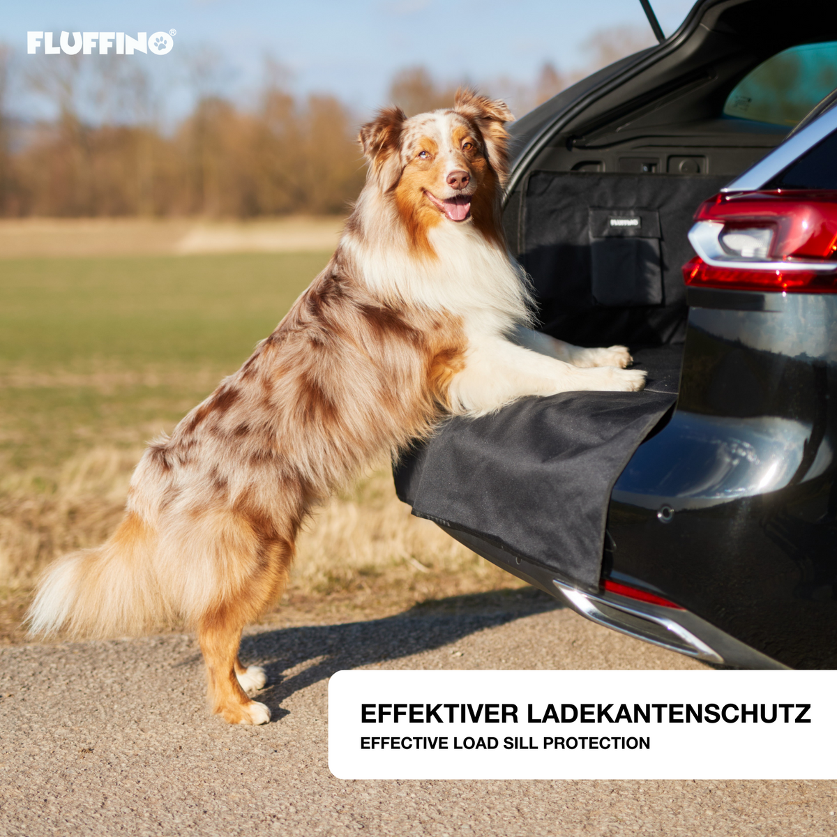 Kofferraumschutz für Hund inkl. Seiten- & Ladekantenschutz – wasserfest, kratzfest, passgenau für alle Automodelle, dunkelgrau von FLUFFINO.