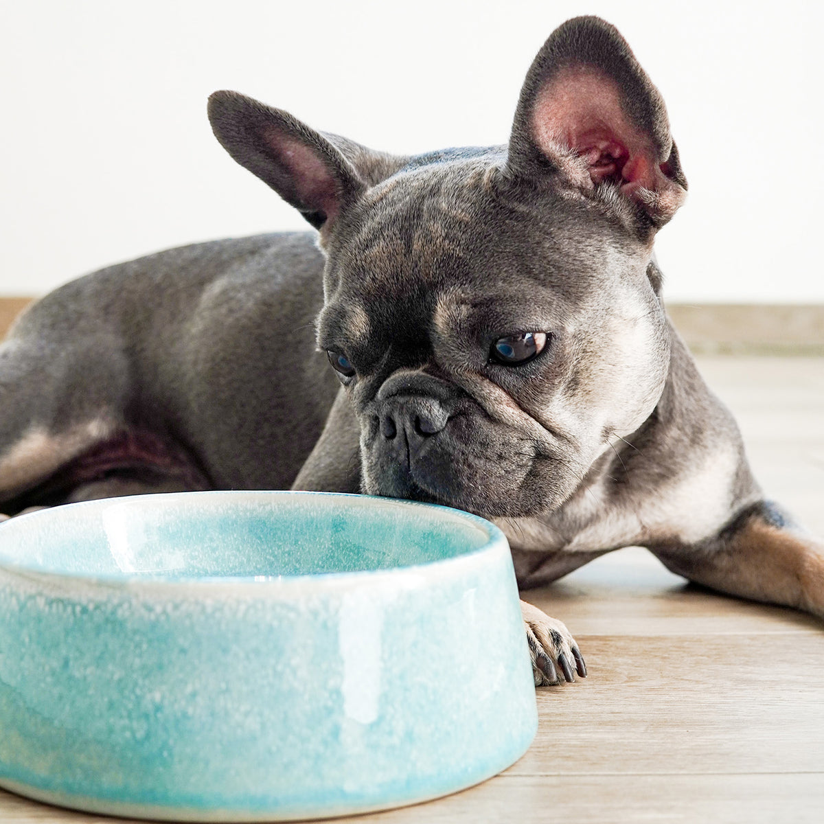Hundenapf / Futternapf Keramik - 800 ml in Blau, handgefertigt, lebensmittelecht, spülmaschinenfest für kleine und mittelgroße Hunde.