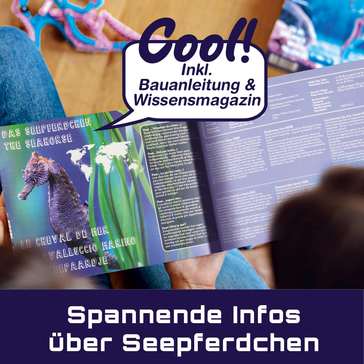 Baustein-Set "Skorpion & Seepferdchen" mit Bauanleitung und Wissensmagazin zu flexiblen Bausteinen und Naturgesetzen.