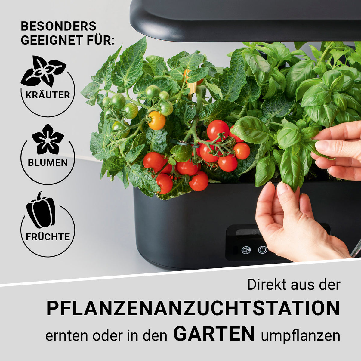 Hydroponische Pflanzenanzuchtstation mit Display zeigt Kräuter, Früchte und Blumen im Indoor Garten, pflegeleicht und smart.