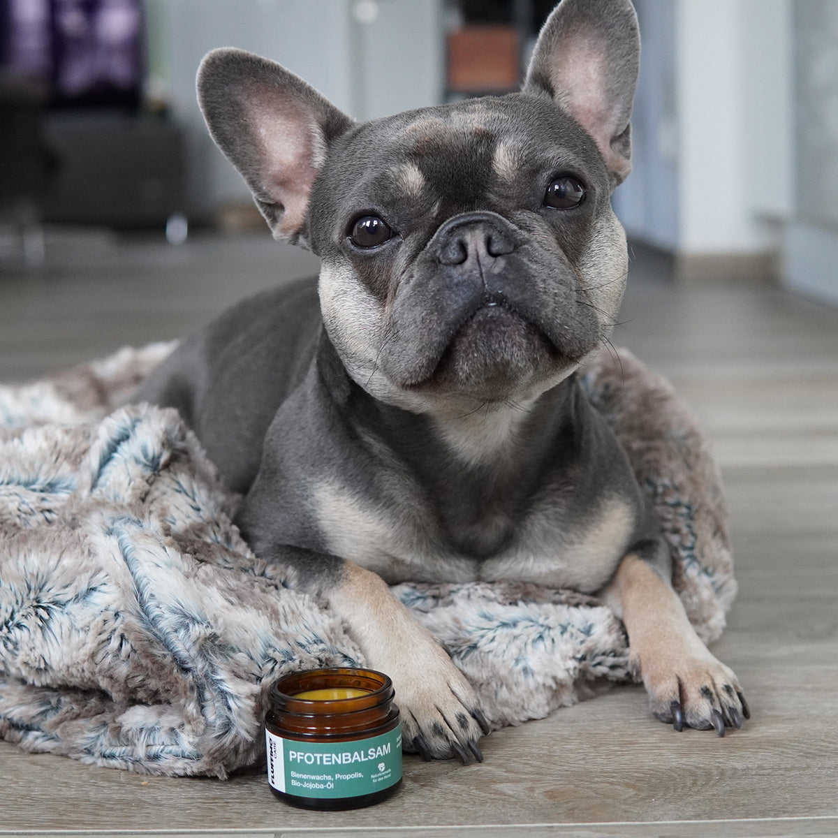 Pfotenbalsam - 50 ml - 100% natürlicher Pfotenschutz für Hunde, schützt vor Kälte, Hitze und rauem Gelände, naturreine Inhaltsstoffe.