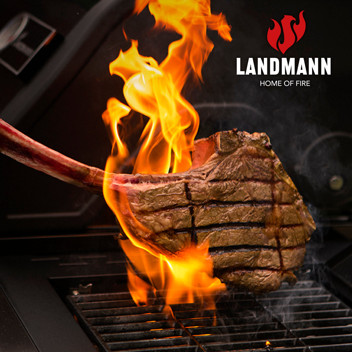 Magnet Saucenhalter aus Edelstahl, hält bis zu 3 Saucenflaschen sicher am Grill oder Kühlschrank griffbereit.