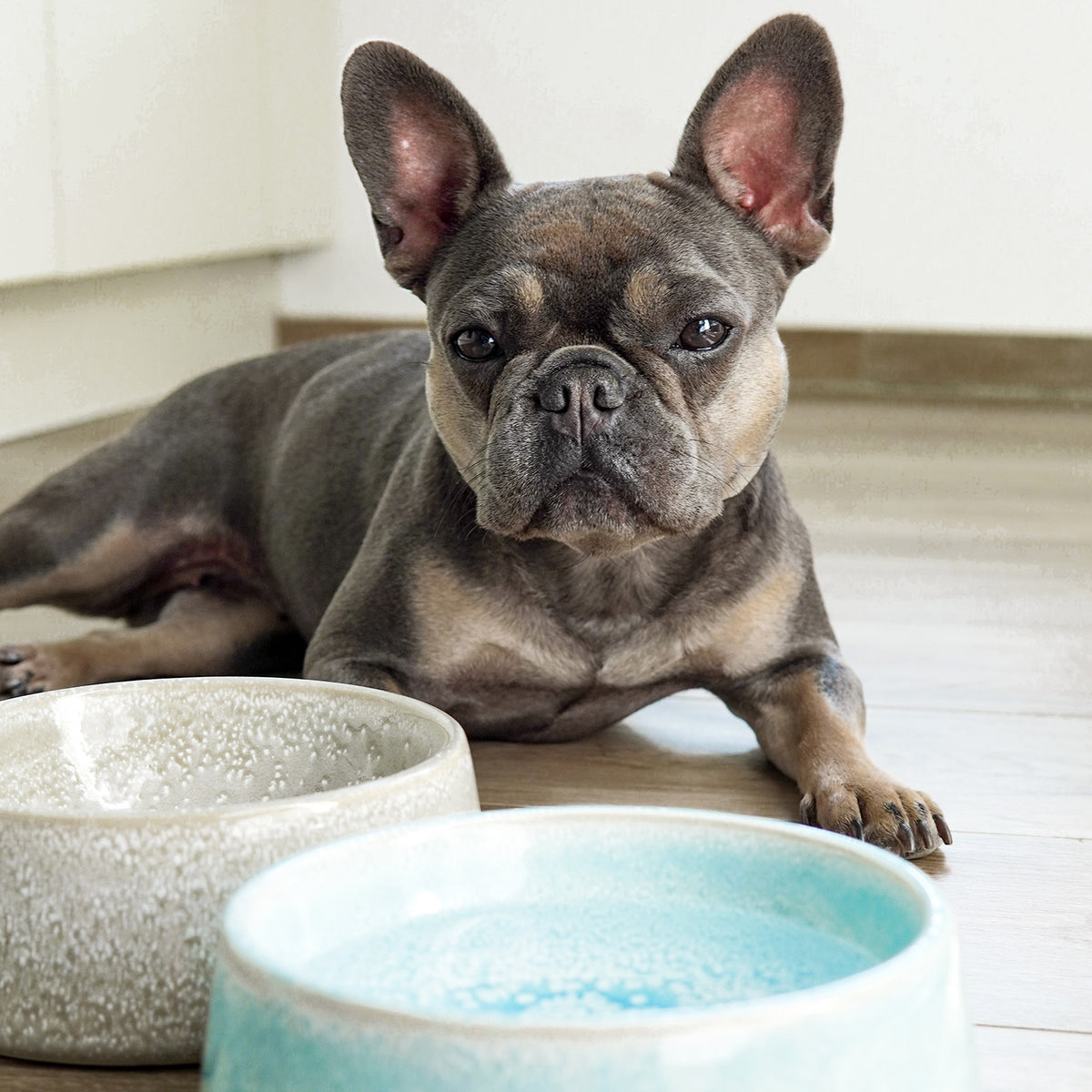 Hundenapf / Futternapf Keramik - 800 ml - Lebensmittelecht - Grau, handgefertigt, spülmaschinenfest, ideal für kleine und mittelgroße Hunde.