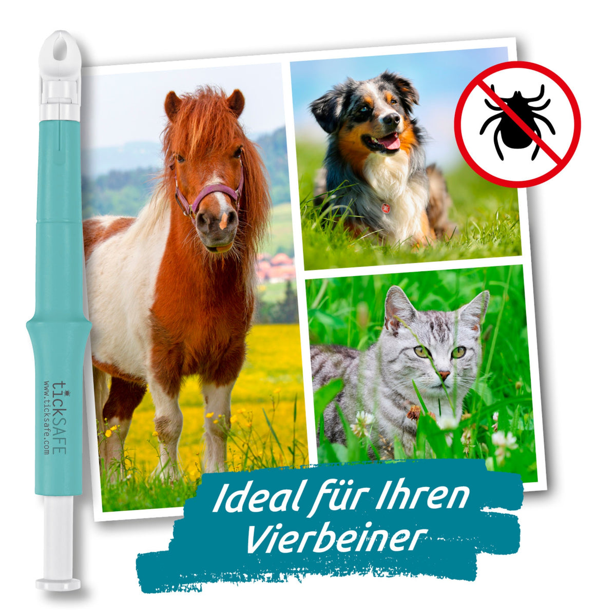 Zeckengreifer für Mensch & Tier mit rotierendem Greiferkopf - 2er-Set zeigt Anwendung bei Pferd, Hund und Katze schonend Zecken entfernen.