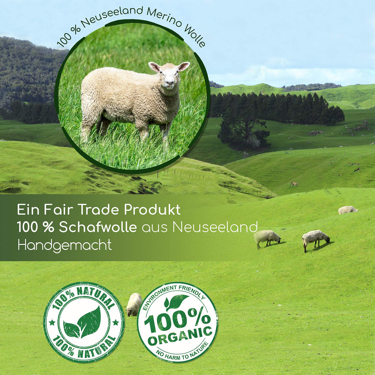 Trocknerbälle für Wäschetrockner - 6er-Set - Schafwolle aus 100% neuseeländischer Merino Schafwolle, handgemacht, naturbelassen und nachhaltig.