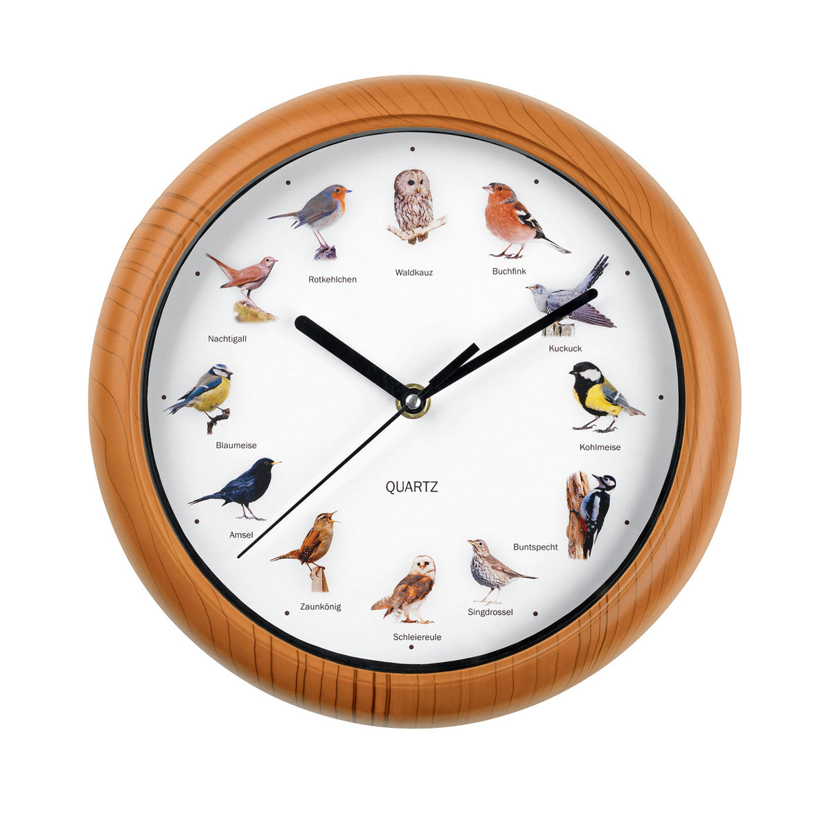 Wanduhr mit Vogelstimmen - 12 Singvogelstimmen, naturgetreue Vogelmotiven, batteriebetrieben, automatische Abschaltung 21-5 Uhr, 25 cm.