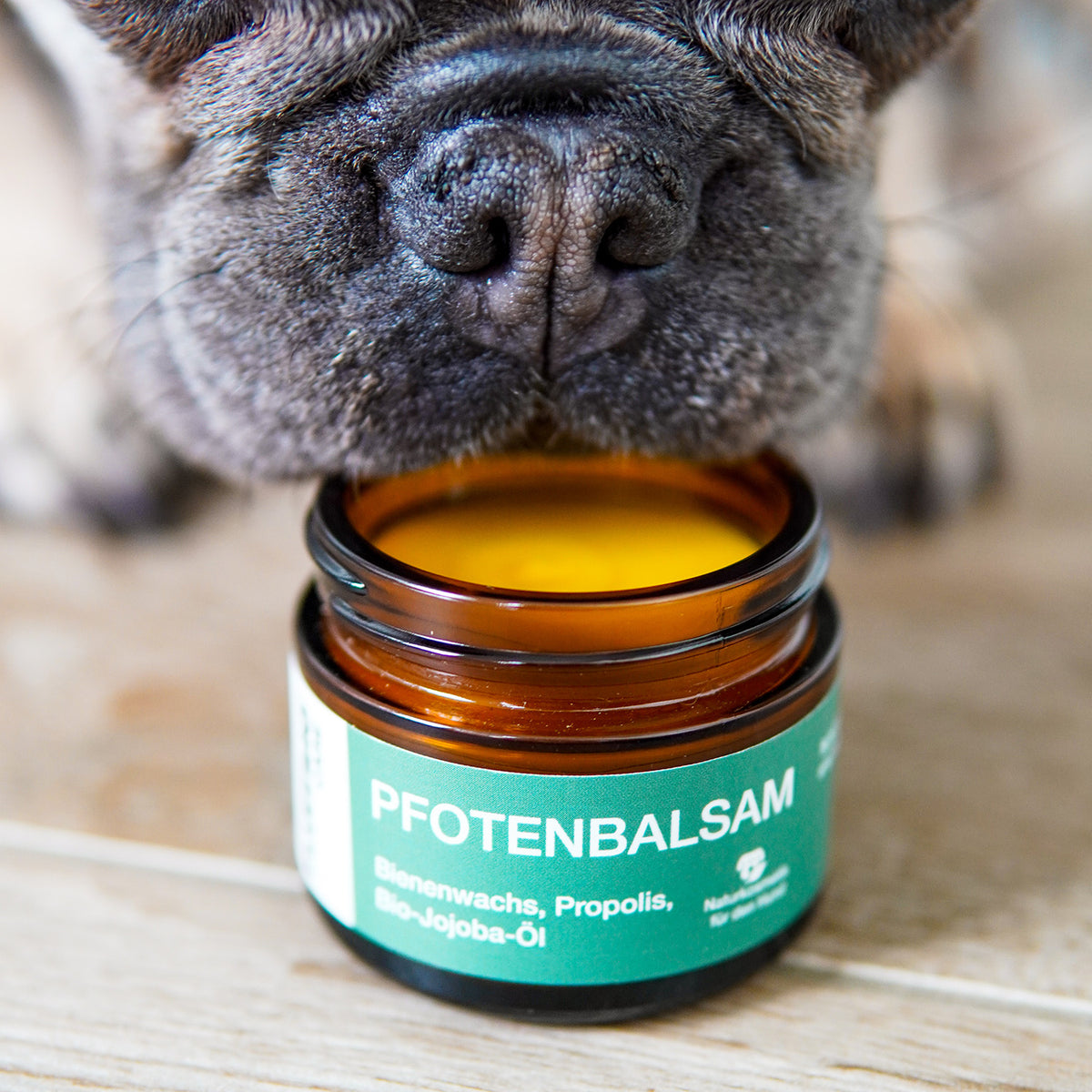 Pfotenbalsam - 50 ml - 100% natürlicher Pfotenschutz mit Propolis, Bienenwachs und Bio-Jojobaöl für empfindliche Hundepfoten.