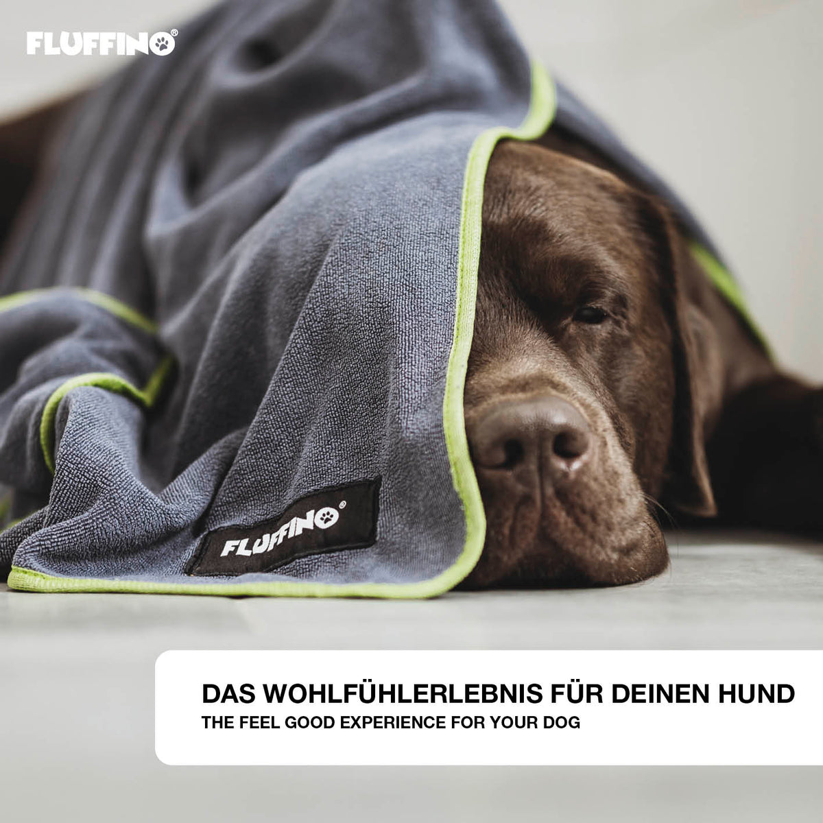 Hundehandtuch Mikrofaser – 4er-Pack - Grau & Grün, extra saugfähig und schnell trocknend, ideal für kleine und mittelgroße Hunde.