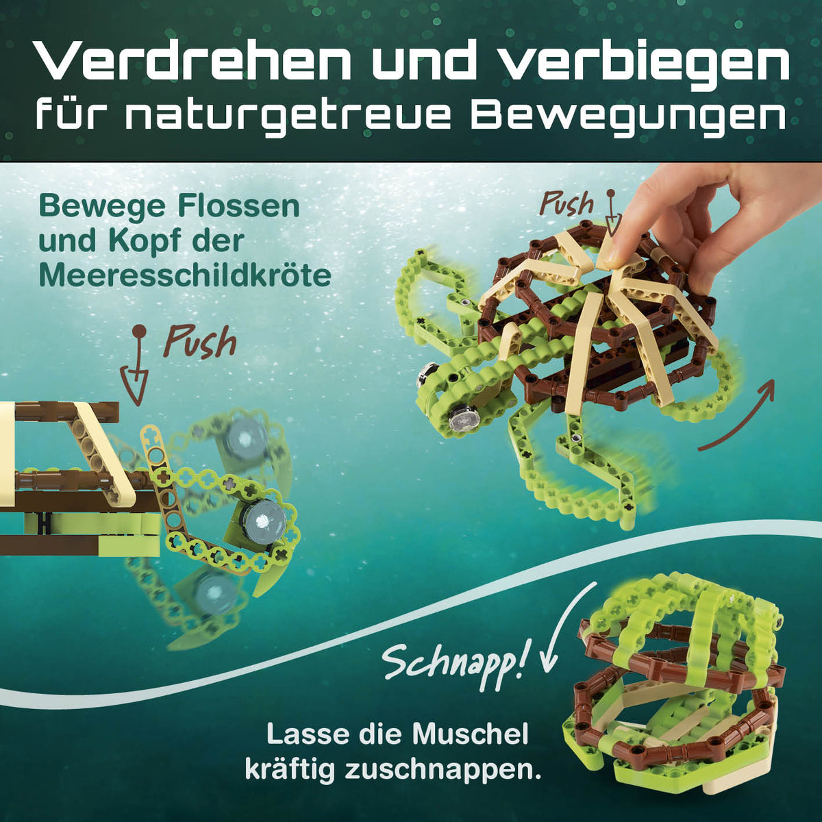 Baustein-Set Schildkröte zeigt bewegliche Flex-Bausteine für naturgetreue Bewegungen von Meeresschildkröte und Panzer.
