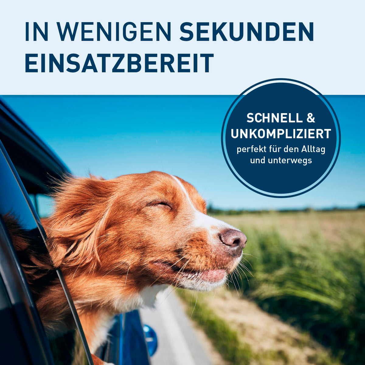 Hundeautositz – wasserfeste Hundebox – M ermöglicht schnelle Montage und sorgt für sicheren und bequemen Transport Ihres Hundes im Auto.