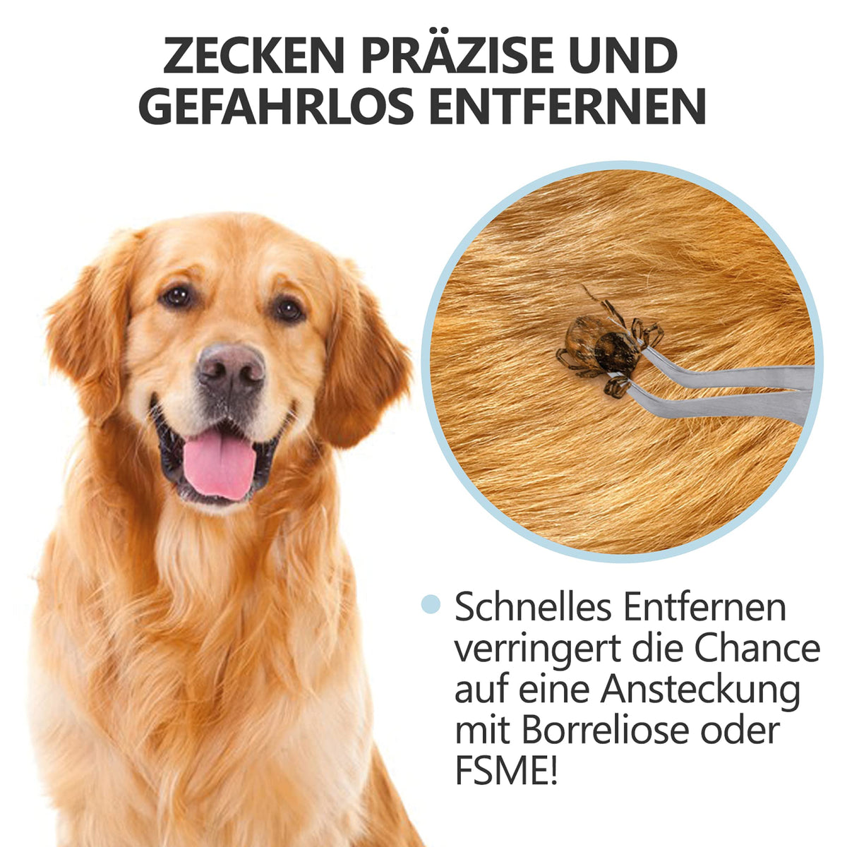 2-in-1 Profi Zeckenzange - für Hunde und Katzen - Hellblau zum schnellen und sicheren Entfernen von Zecken bei Haustieren.