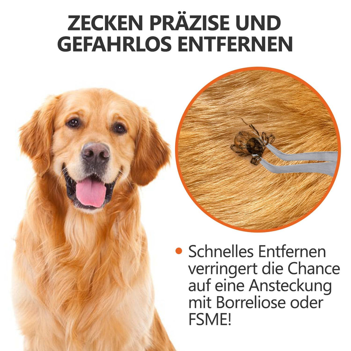 2-in-1 Profi Zeckenzange - für Hunde und Katzen - Silber zur präzisen und sicheren Entfernung von Zecken bei Haustieren.