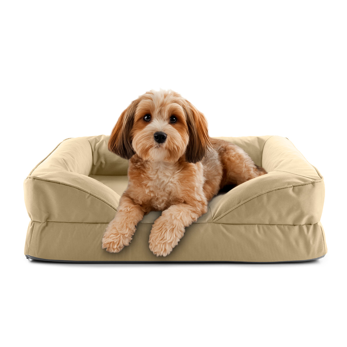 Komfort-Hundebett aus der LUMALAND Outdoor-Kollektion - Gr. S - 70 x 60 cm - Beige mit kleinem Hund in bequemer Liegeposition.