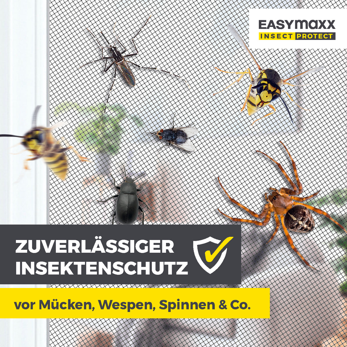 Teleskop-Insektenschutzgitter Schwingtür - Weiß mit Alurahmen schützt sicher vor Mücken, Wespen, Spinnen und anderen Insekten.