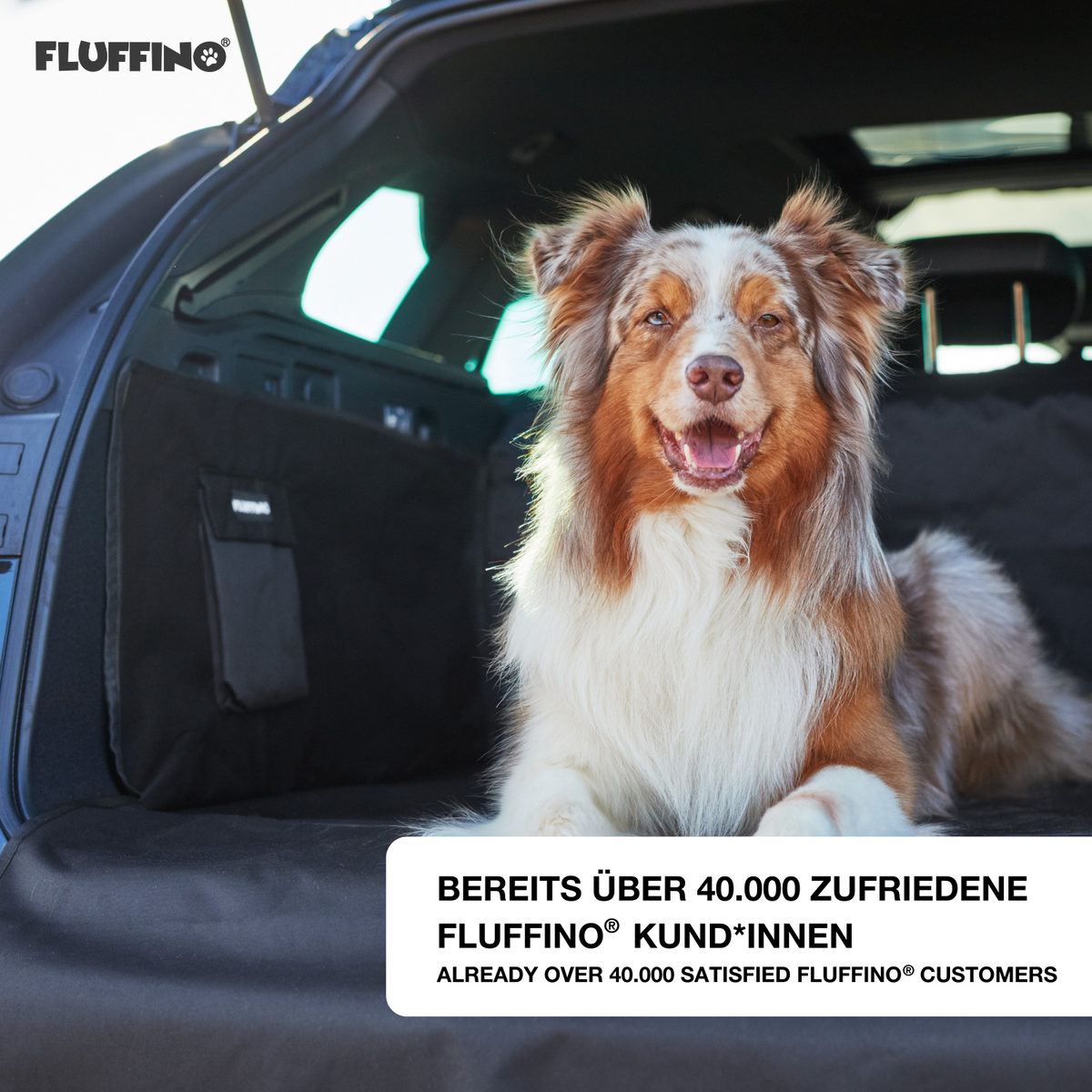 Kofferraumschutz für Hund inkl. Seiten- & Ladekantenschutz - dunkelgrau, wasserfest und kratzfest, ideal für Autos mit Hund.