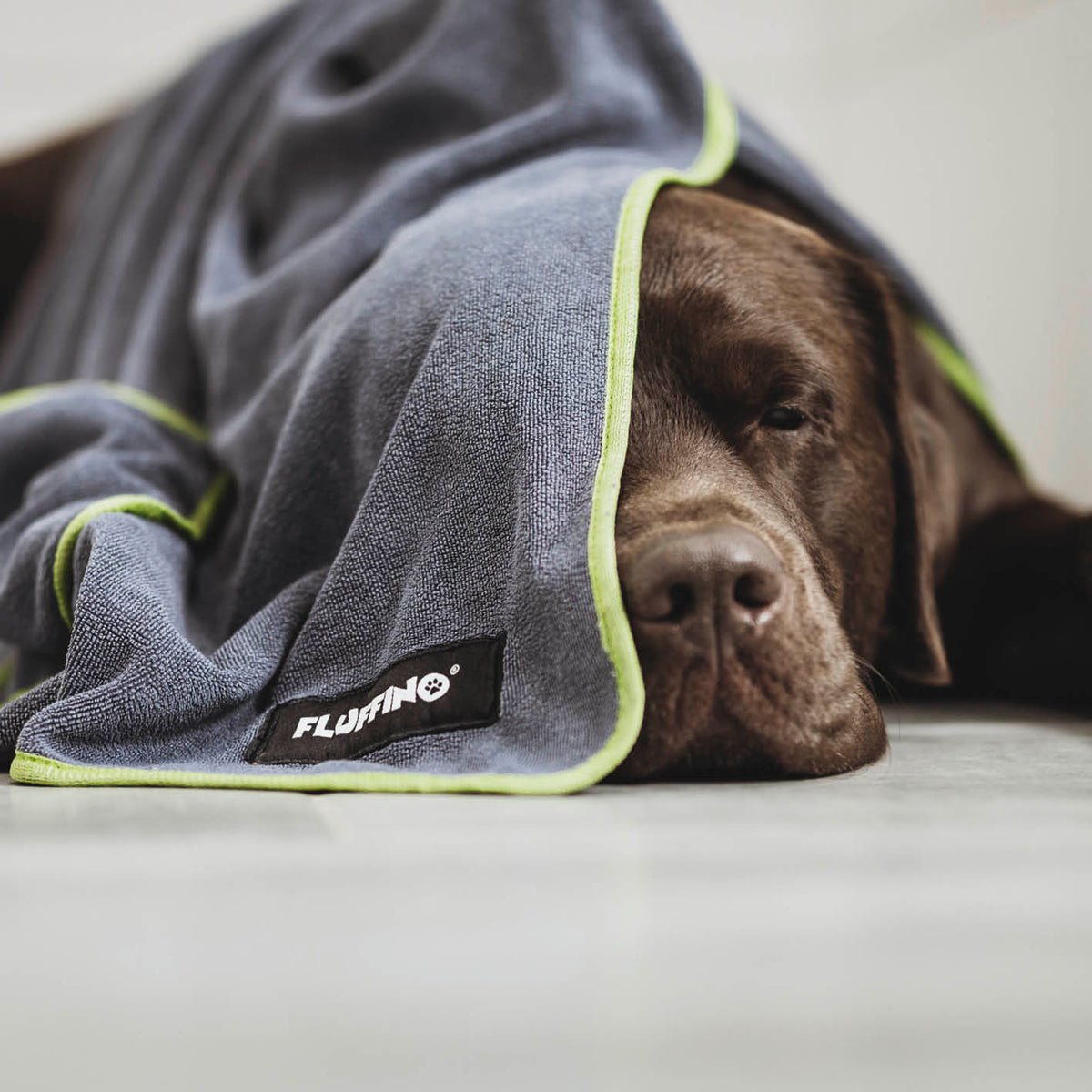 Hundehandtuch Mikrofaser – 4er-Pack - Grau & Grün von FLUFFINO, saugfähig, schnell trocknend, handlich für kleine und mittelgroße Hunde.