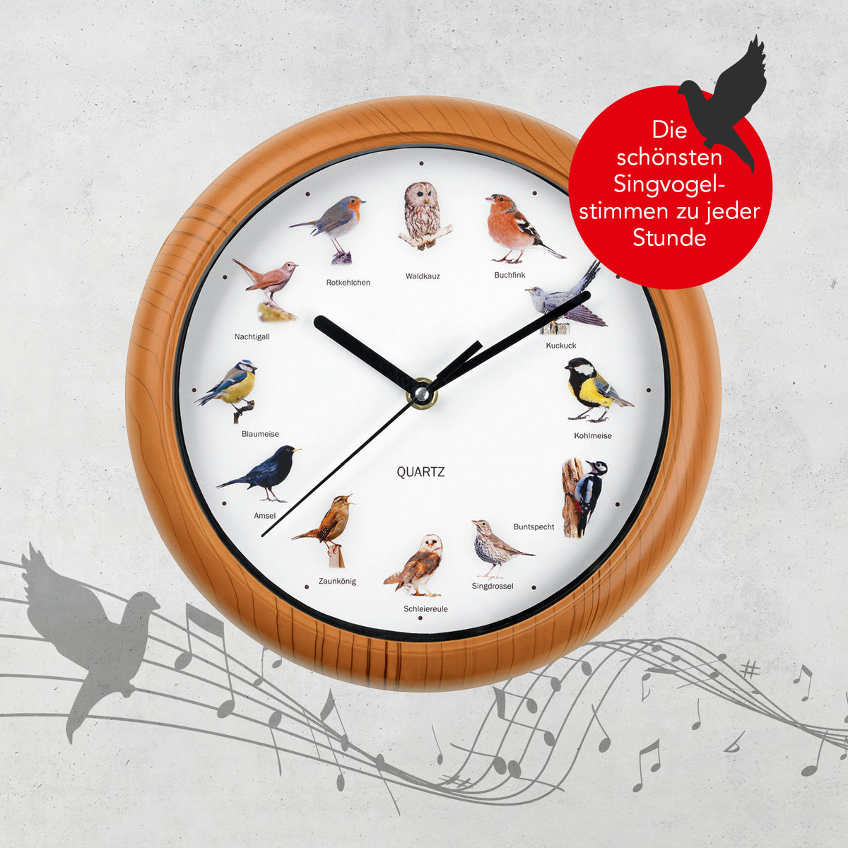 Wanduhr mit Vogelstimmen - 12 Singvogelstimmen, naturgetreue Motive, 25 cm, batteriebetrieben, mit stündlichem Vogelgesang und Abschaltung nachts.