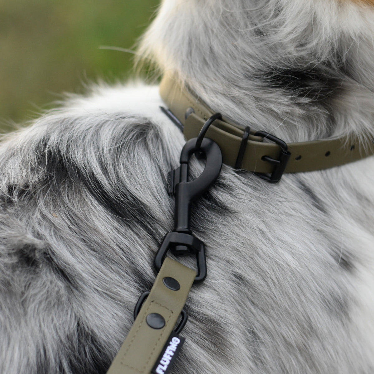 Hundehalsband aus BioThane - 5-Fach verstellbare Größe L in Oliv, vegan, wasserfest und reißfest am Hundehals getragen.