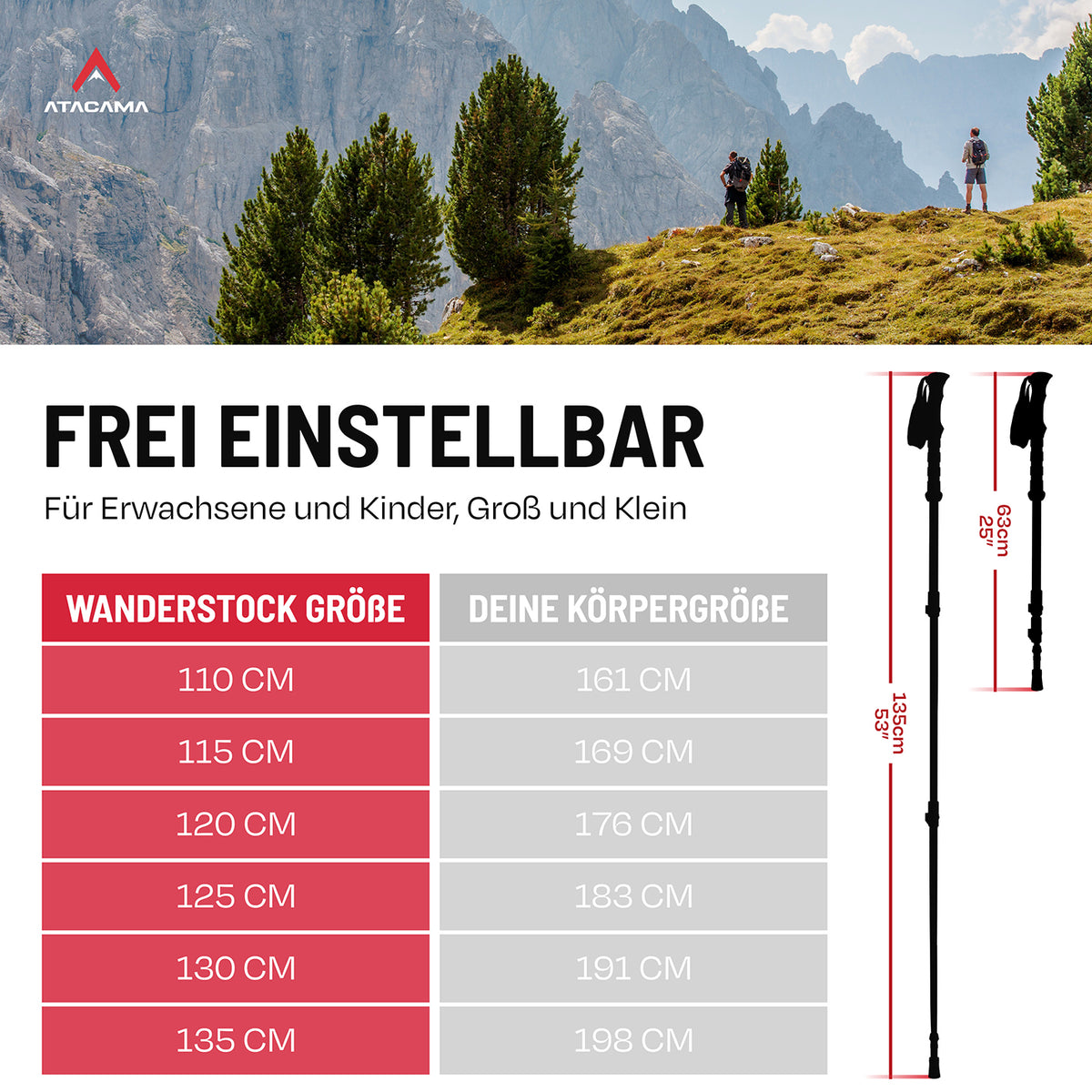 Teleskop Wanderstöcke - CarbonMix - 110 cm / 135 cm verstellbar, ultraleicht, mit Korkgriff und Flip-Lock Schnellverschluss für jedes Gelände.