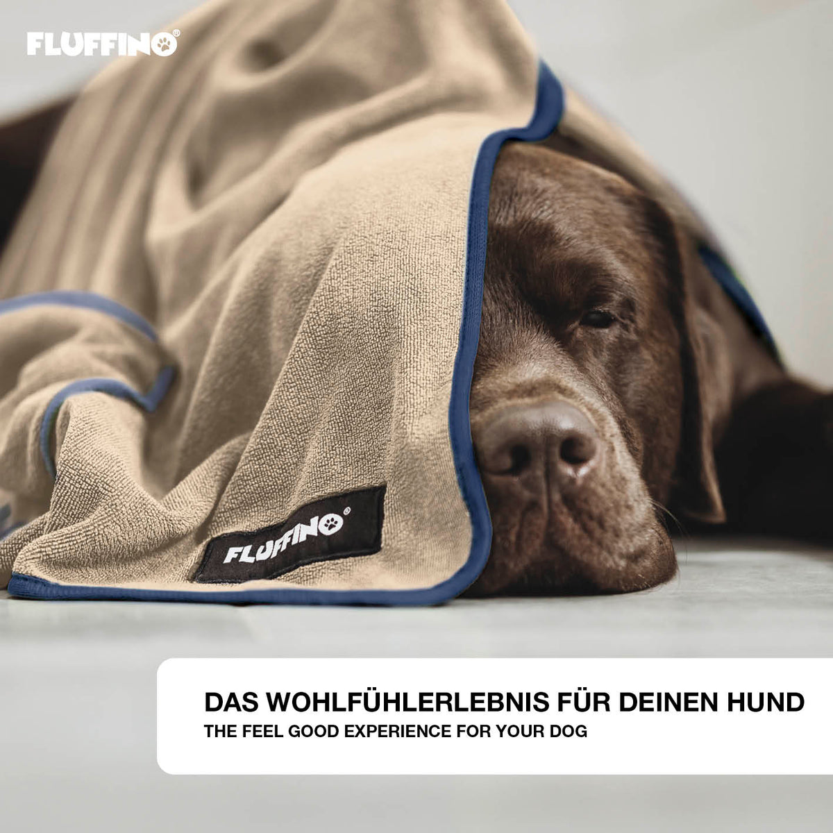 Hundehandtuch Mikrofaser – 4er-Pack - Beige & Blau, extra saugfähig, schnell trocknend, ideal für kleine und mittelgroße Hunde.