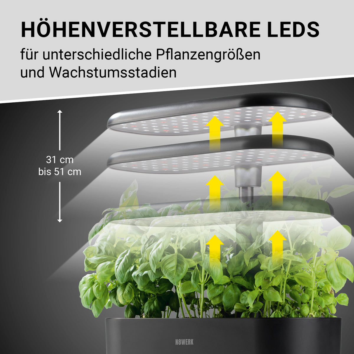 Hydroponische Pflanzenanzuchtstation mit Display mit höhenverstellbaren LEDs für verschiedene Pflanzgrößen und Wachstumsstadien.