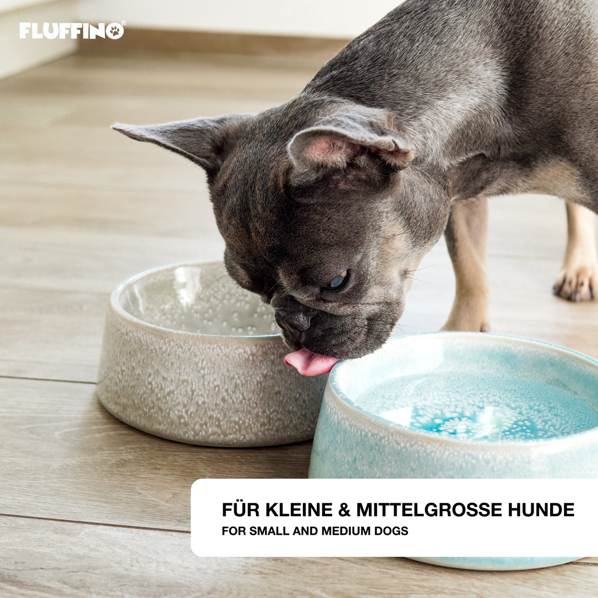 Hundenapf / Futternapf Keramik - 800 ml - Grau, handgefertigt, lebensmittelecht, spülmaschinenfest, für kleine und mittelgroße Hunde.