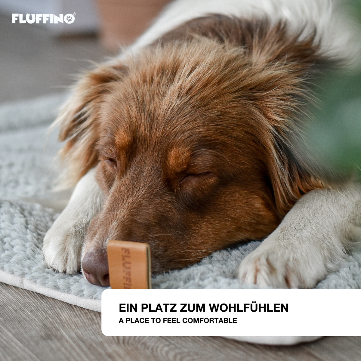 Hund schläft entspannt auf der grauen FLUFFINO Hundedecke/Hundekissen - Wildlederimitat - Größe S (73 x 45 cm).