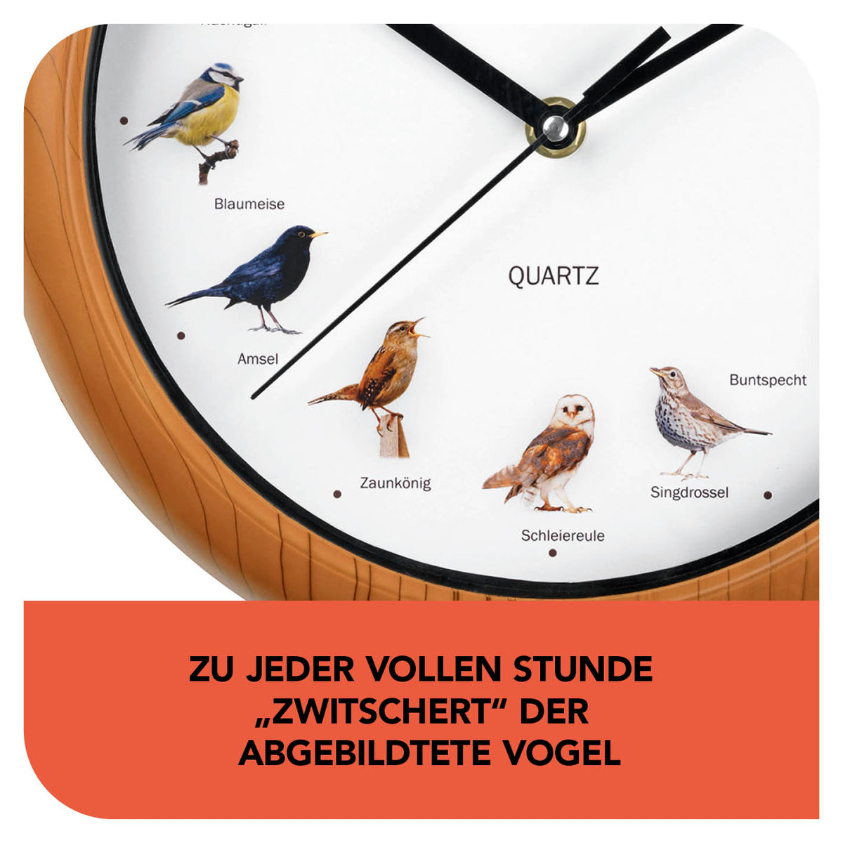 Wanduhr mit Vogelstimmen - 25cm zeigt verschiedene Vogelmotiven, die zu jeder vollen Stunde realistisch zwitschern.
