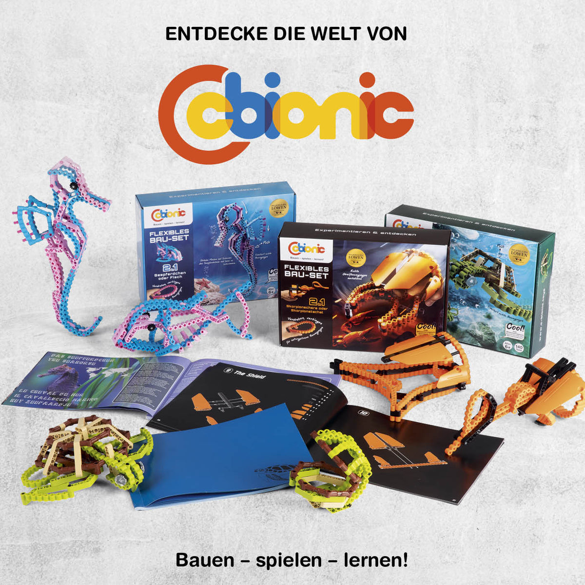 Baustein-Set Schildkröte mit flexiblen Bausteinen für kreative, dynamische Konstruktionen inspiriert von Naturbewegungen.