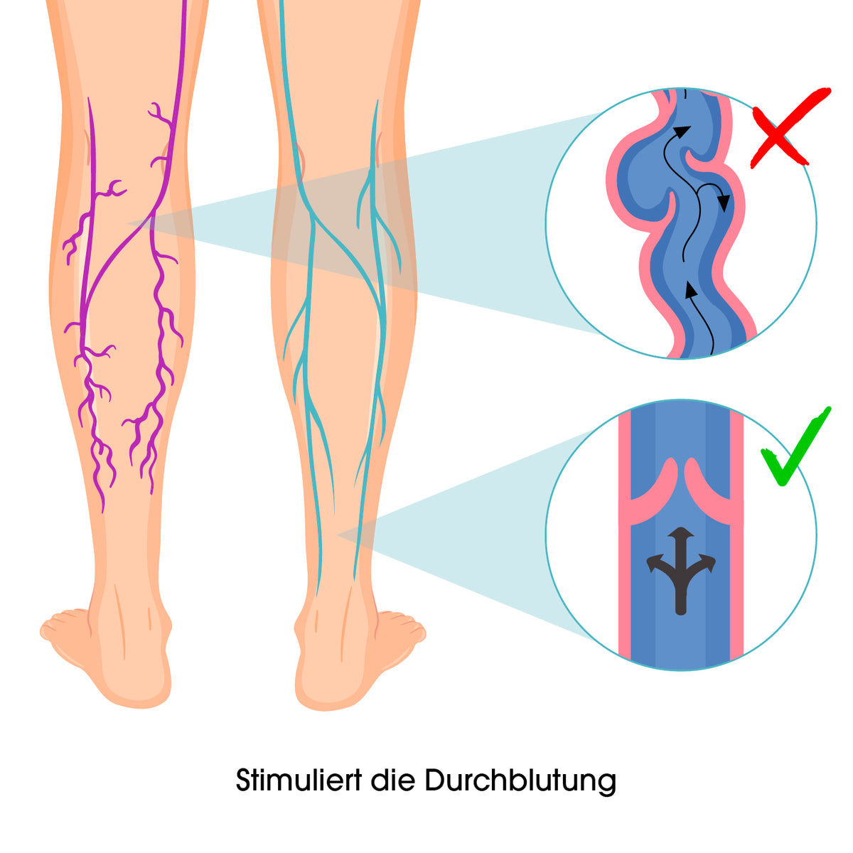 Durchblutungs-Stimulator VenenWalker - 25 Programme zur Förderung der Venendurchblutung und Vorbeugung von Krampfadern.