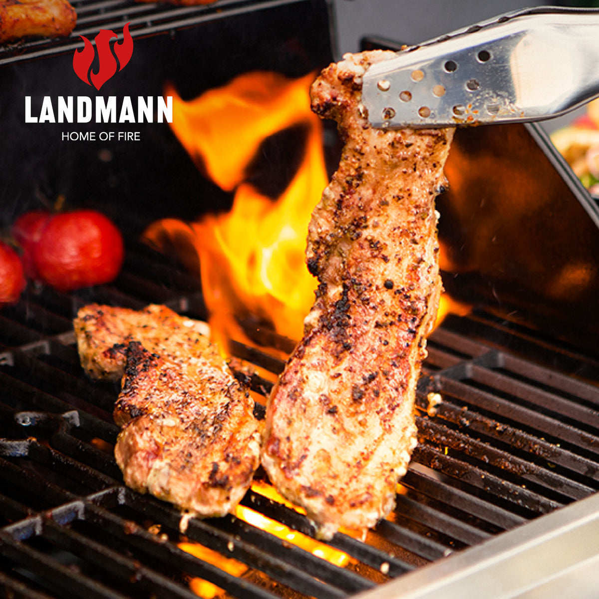 Gasgrill Rexon 2.0 mit 2 stufenlos einstellbaren Edelstahl-Brennern und emaillierten Grillrosten beim Grillen von Fleisch.