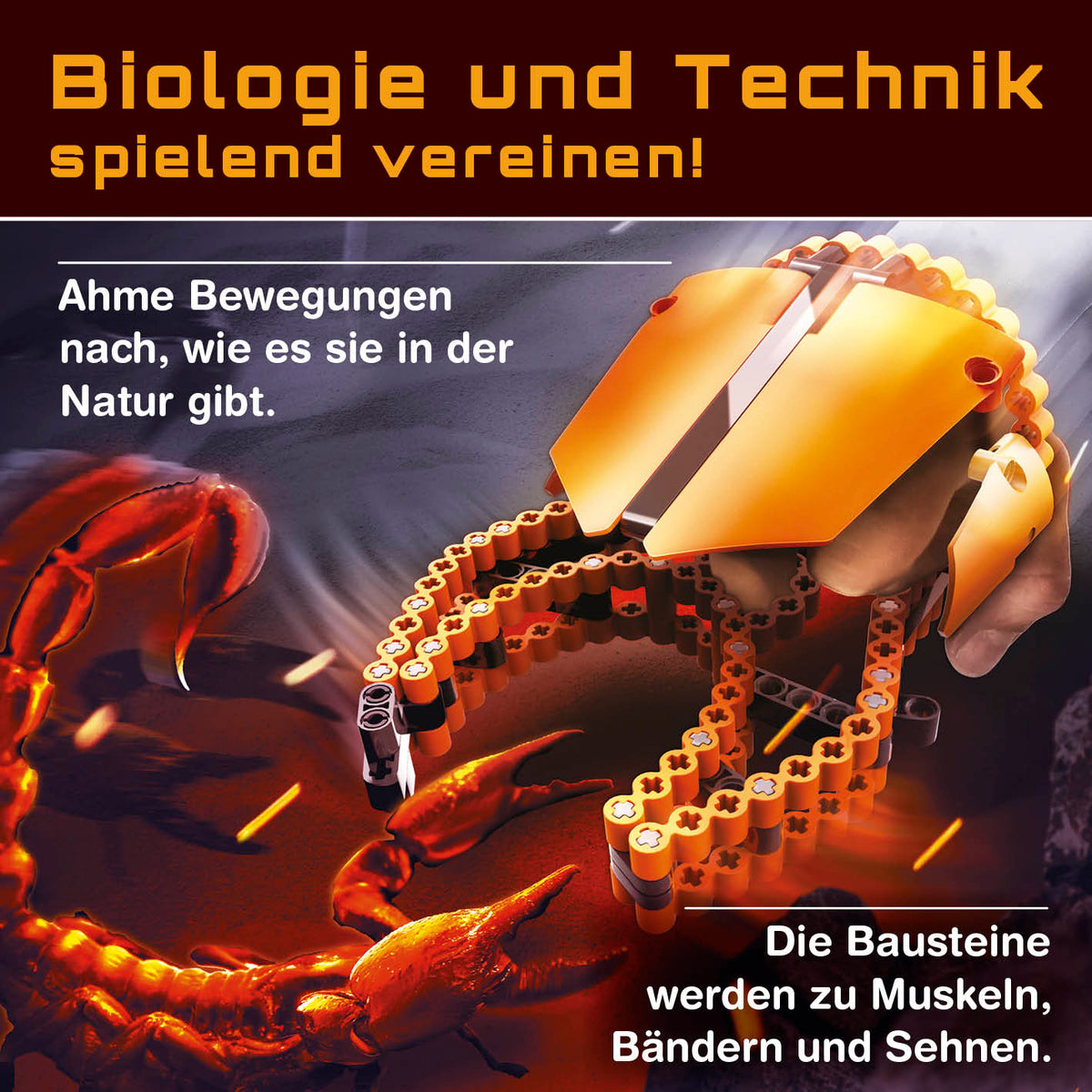 Baustein-Set "Skorpion & Seepferdchen" - flexible Flex-Bausteine für natürliche Bewegungen, Muskeln, Bänder und Sehnen.