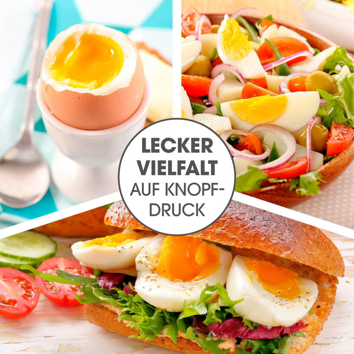 Design-Eierkocher für 6 Eier zeigt verschiedene zubereitete Eiergerichte mit weich & hart gekochten Eiern, ideal für Frühstück und Salate.