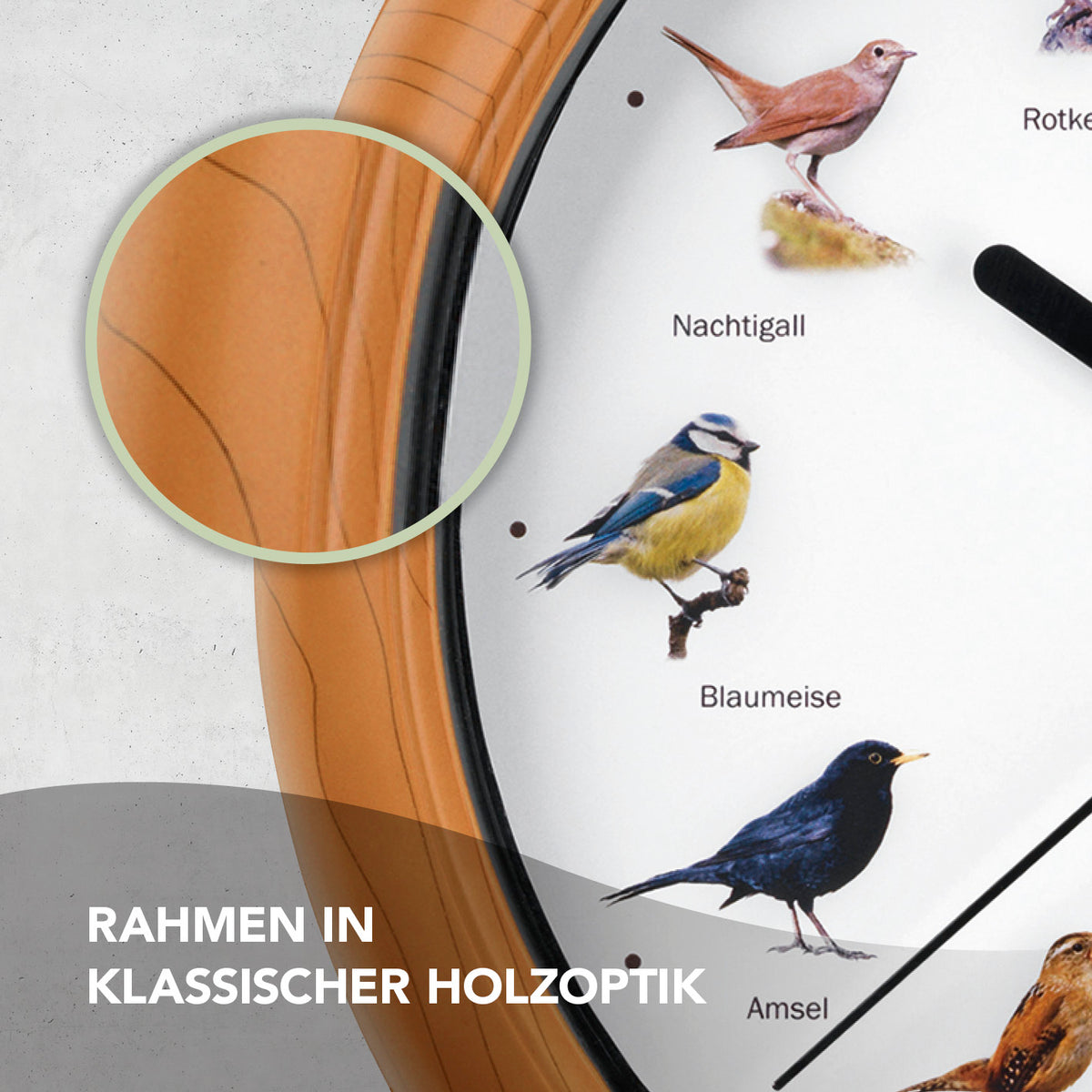 Wanduhr mit Vogelstimmen - 12 Singvogelstimmen, Holzrahmen, naturgetreue Vogelmotive, batteriebetrieben, automatische Abschaltung nachts.