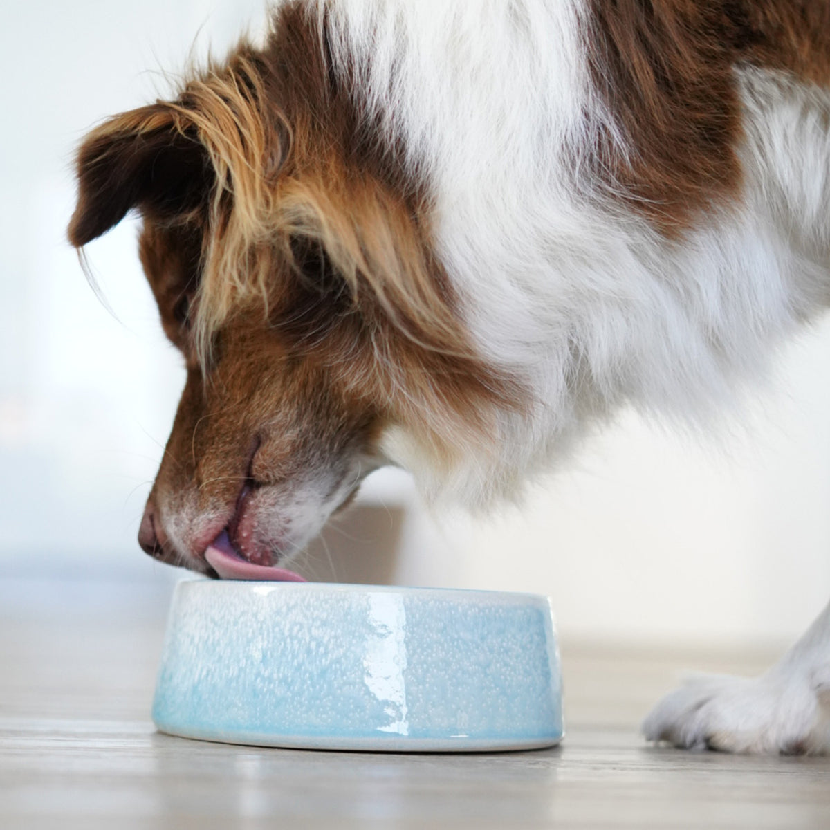 Hundenapf / Futternapf Keramik - 800 ml - lebensmittelecht, blau, handgefertigt, spülmaschinenfest, ideal für kleine und mittelgroße Hunde.