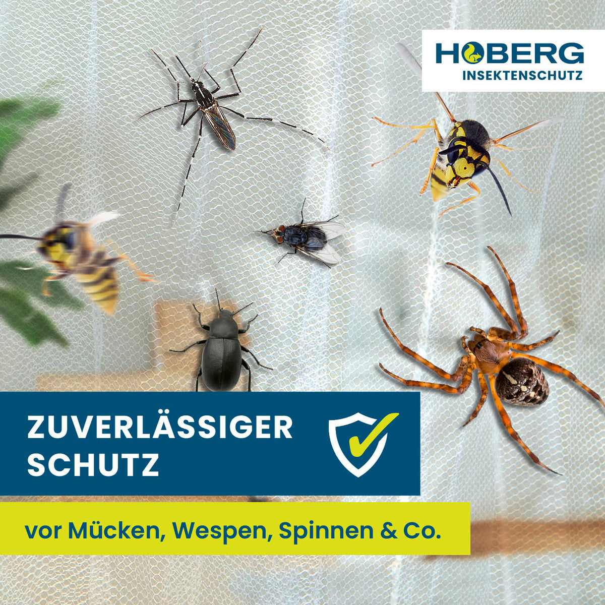 Insekten-Baldachin von HOBERG schützt zuverlässig vor Mücken, Wespen, Spinnen und weiteren Insekten im Schlafzimmer oder Outdoor.