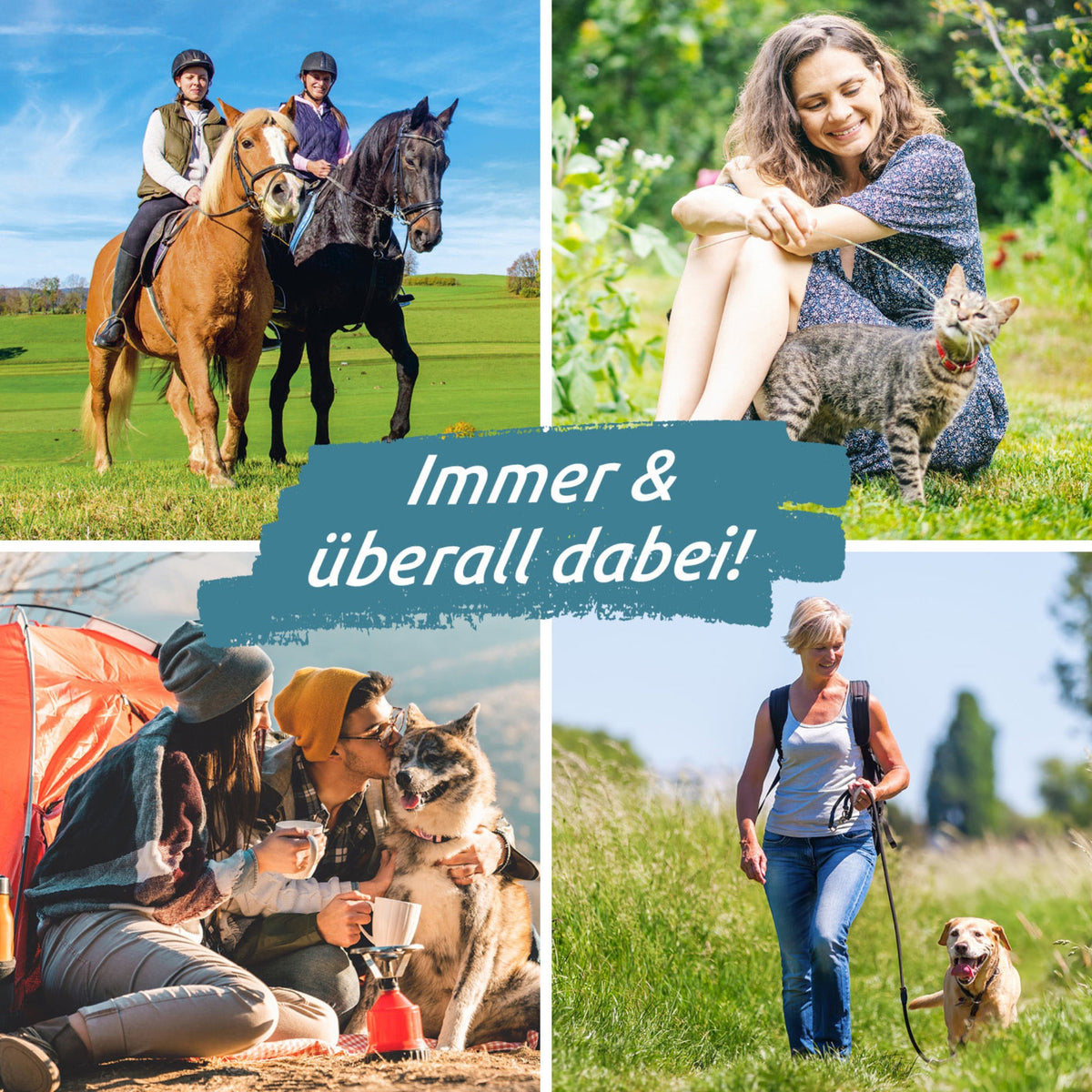 Zeckengreifer für Tiere mit rotierendem Greiferkopf - 2er-Set im Einsatz bei Pferden, Katzen, Hunden, ideal für unterwegs und Zuhause.