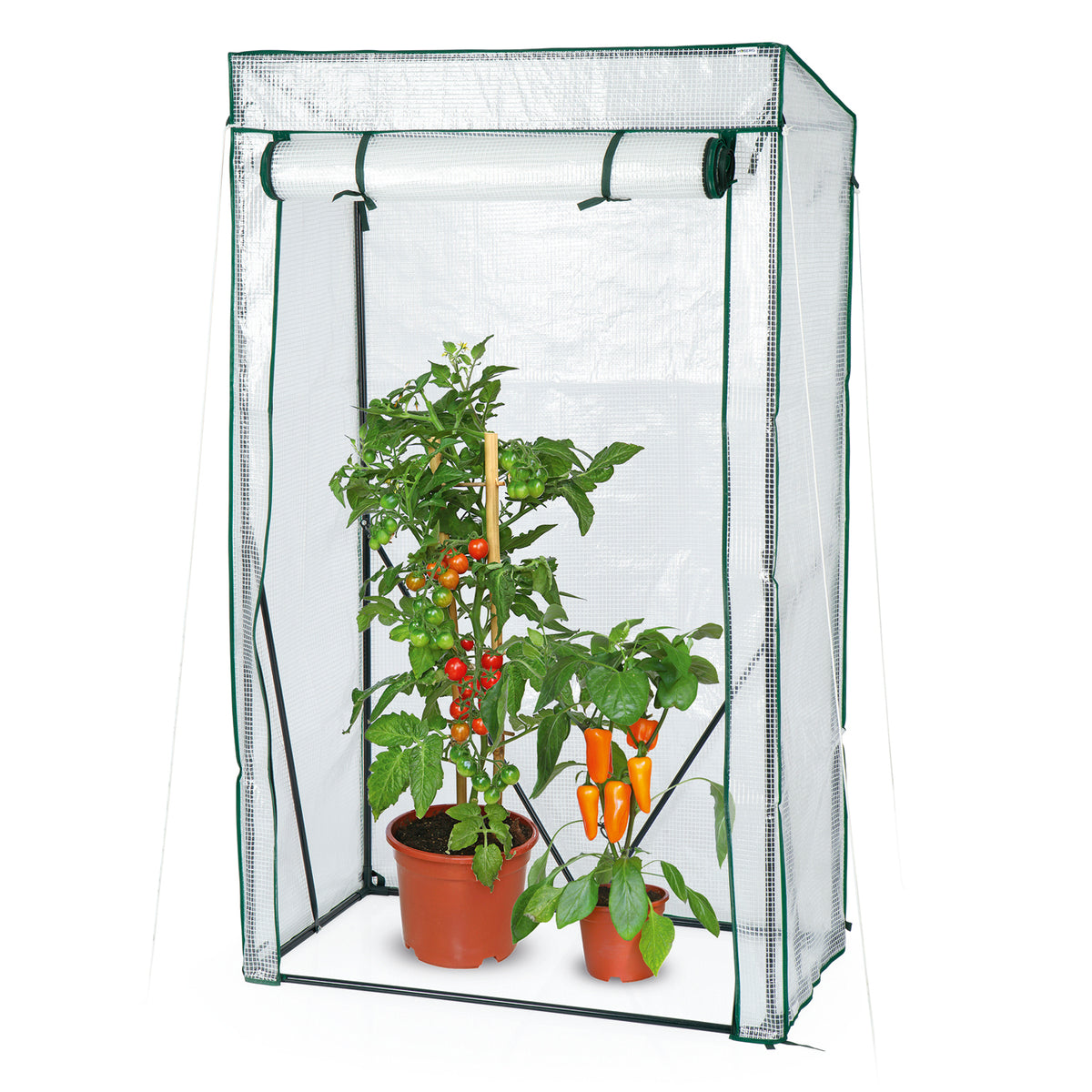 Folien-Gewächshaus - 100 x 50 x 158/170 cm mit lichtdurchlässiger PE-Folie, stabilem Rahmen und Reißverschluss für Tomaten und Jungpflanzen.