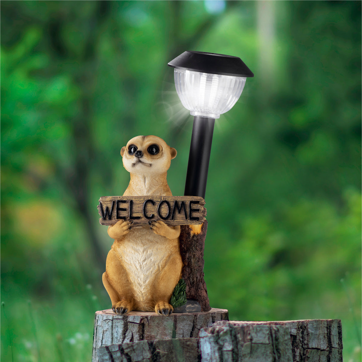 Solarleuchte Erdmännchen mit Laterne/Schild, detailgetreu, mit LED-Solarlicht, "Welcome"-Schild, Dämmerungssensor und An-/Ausschalter.