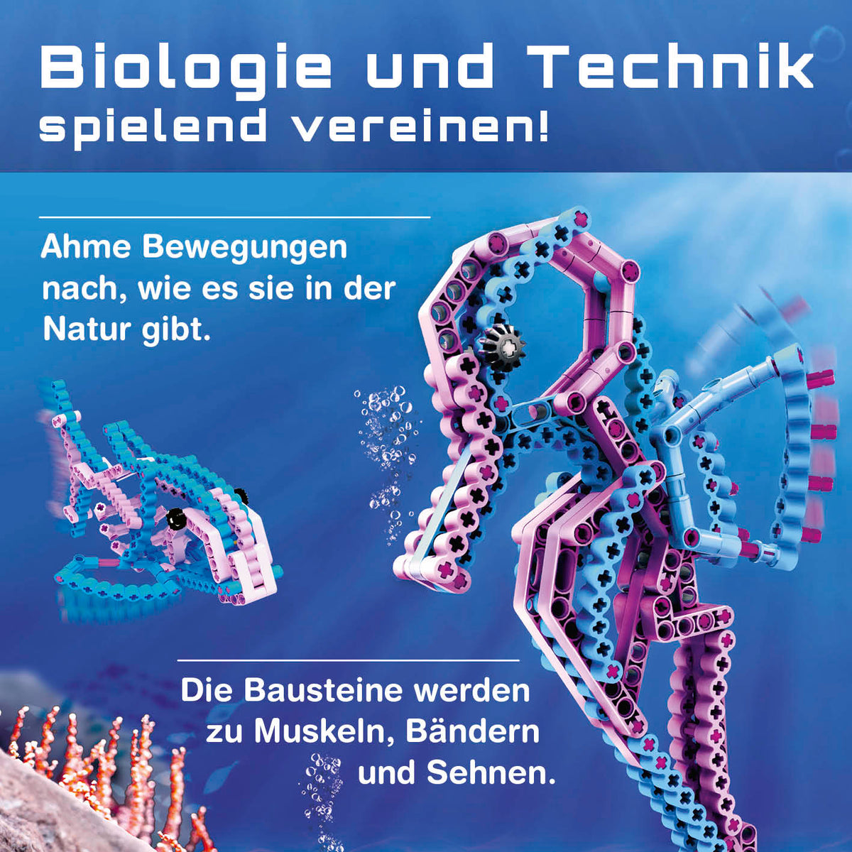 Baustein-Set Seepferdchen zeigt flexible Bausteine, die naturgetreue Bewegungen und elastische Strukturen nachbilden.